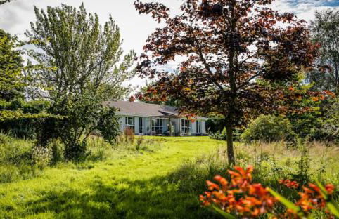 Home Comforts in Peaceful 2 Acres - Photo 63