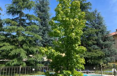 Esclusiva Mansarda Parco di Monza - Foto 5