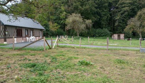 La Cour Angot - Foto 4