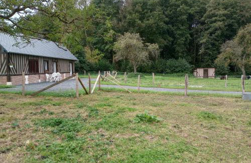 La Cour Angot - Foto 4