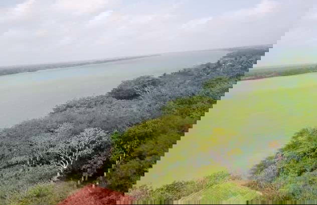 Paseo en barco privado por los Pantanos de Centla - Foto 6