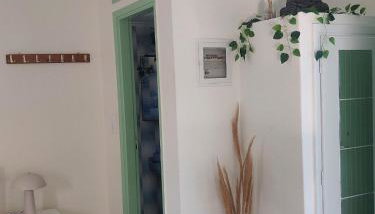 Vitamin sea Studio - Foto 5