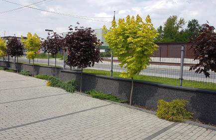 Apartament Angelo - Foto 11