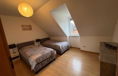 Sonnenschein - Foto 15