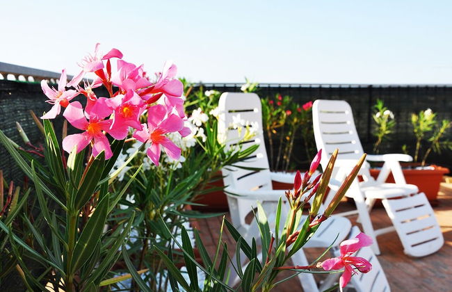 I tre Golfi Plumbago Blu - Photo 10