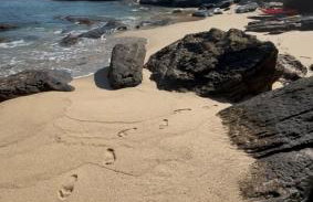 Loft com ar condicionado e cozinha na praia de Toque Toque Grande - Foto 30