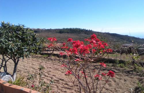 Casa de los abuelos - Foto 71
