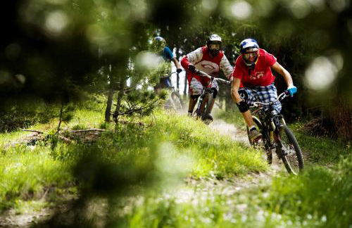 Chalet Alpine Dream - Foto 30