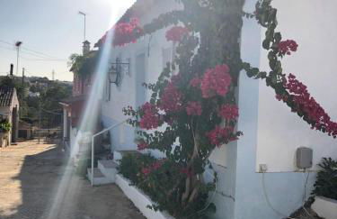 Toca das Manas - Foto 7