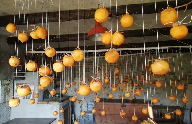 Roseto del Drago - Foto 79