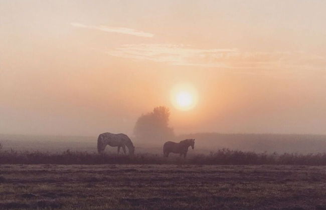 Warft Simmerdeis 2 Comfortable Holiday Residence - Foto 10