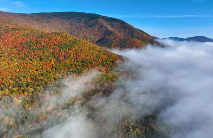 Equinox Resort Residences - Foto 45