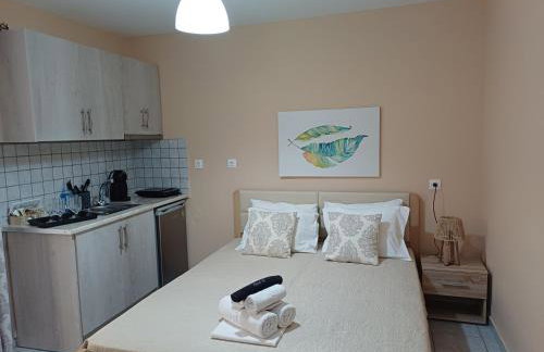 Nini's House 2 Nydri - 100m from beach NYDRI TOWN CENTER - Photo 20
