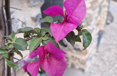 Casa del relax e dello sport - Photo 23