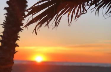 Riva dei fiori - Foto 33