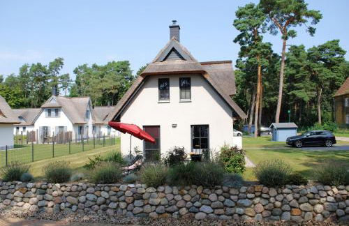 Zweite Heimat - Foto 2