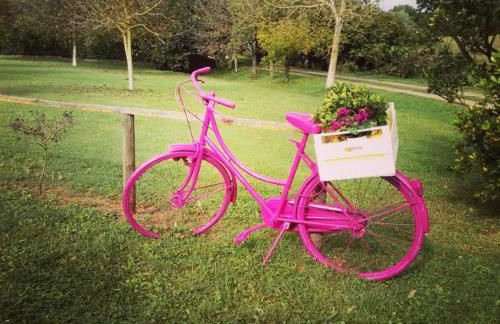 Agriturismo Podernuovo - Foto 10