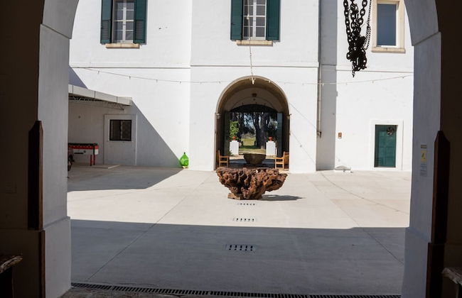 Filippo de Raho Agri Bio Relais - Photo 3