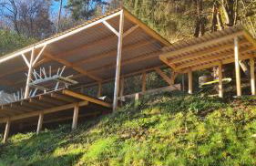 Waldhaus zum gechillten Hirsch in der Natur, bei der Moseltherme Traben-Trarbach - Foto 21