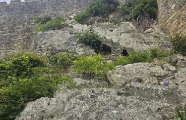 Sunflower Castle View in Óbidos - Foto 41
