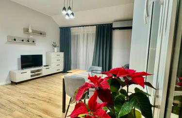 Apartament Oleńka - Foto 9