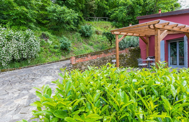 L'Orlo del Bosco - Foto 36