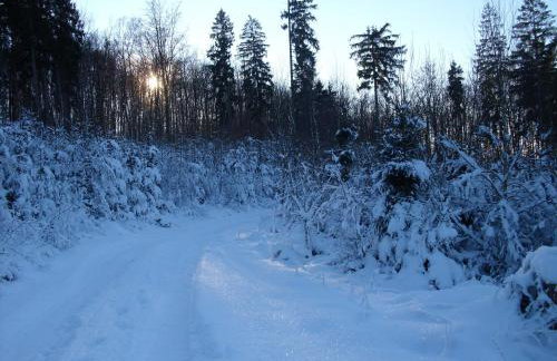 Ferienwohnungen Ingrid Alfes - Foto 37