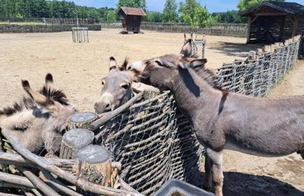 Šalatin jarek - Foto 42