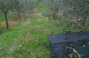 AGRITURISMO Casa Riz - Foto 41