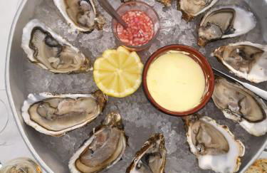 Les chats pitres Maison au calme rénovée avec jardin, terrasse aménagée, transats, abri à vélo, parking gratuit, 5 mn à pied du centre Bayeux proche des plages du débarquement - Photo 53