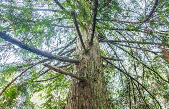 NEW Nestled Private Tiny Home Situated Near ONP - Foto 32