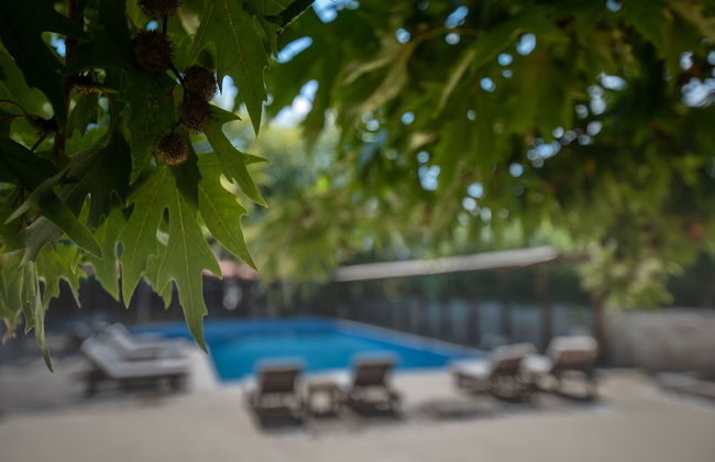 Apollo Beach Hotel - Foto 37