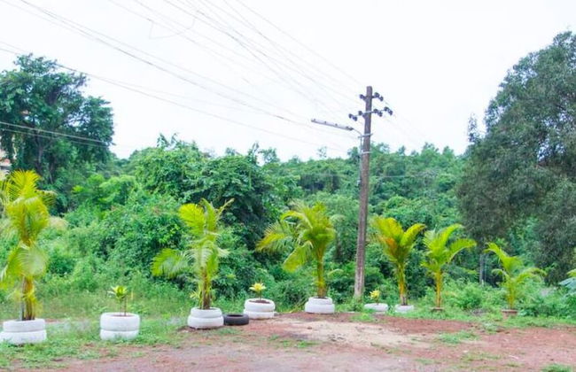 The Assagao House Luxury Villa - Photo 33