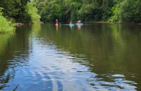 Gardeners Cottage Apartment - Foto 18