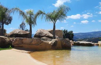 Horizonte Monte Verde - Foto 79