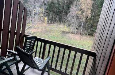 Superbe Appartement à Montchavin - Foto 28