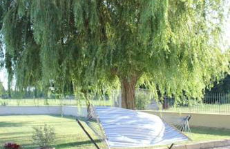 Mas Aubert - Foto 19