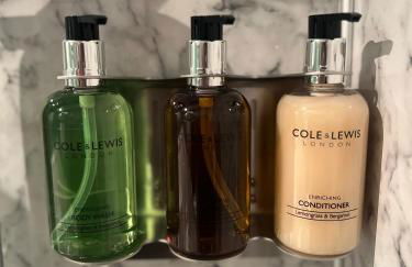 Cantre Selyf - Foto 41