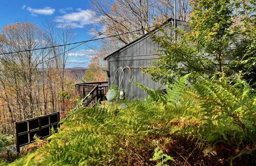 Fireplace Catskill Views Overlook Lake Cabin - Foto 64