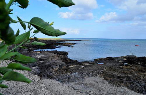 Ayfa Apartment - Foto 19