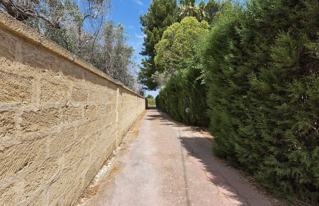 Dependance di Villa Dea - Foto 28