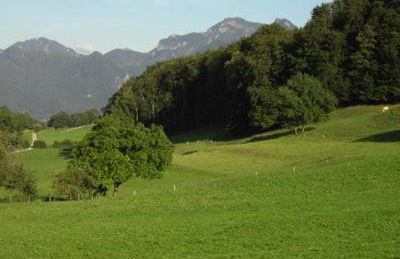 Cafe Wastelbauerhof - Urlaub auf dem Bauernhof - Foto 21