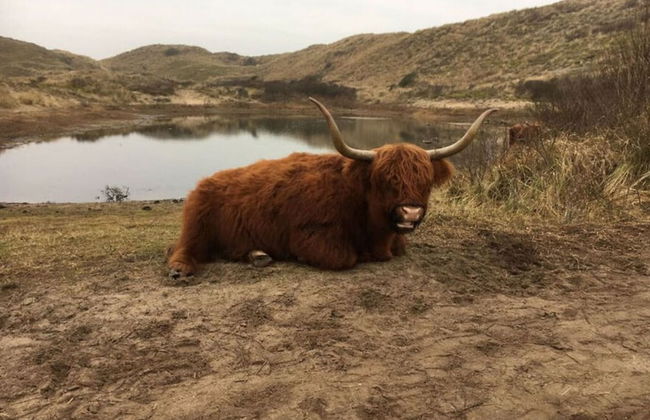 Luxury Home Egmond - Foto 21