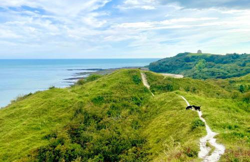 East Cliff Folkestone Guest Suite With Own Entrance - Foto 41