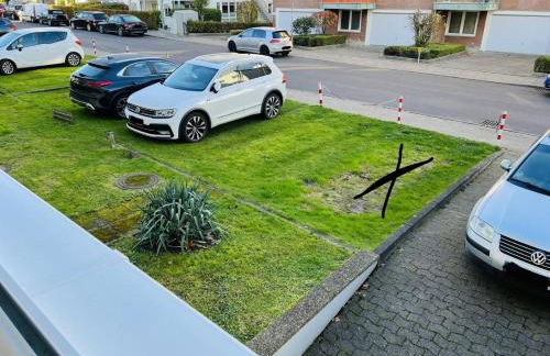 Zur Seeschwalbe - Foto 39