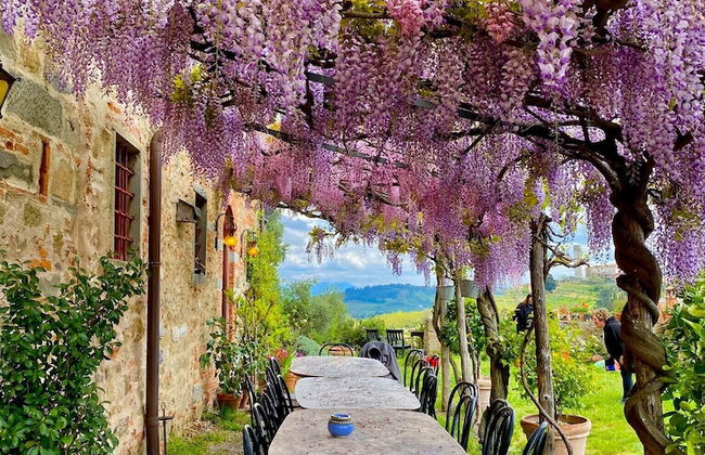 Agriturismo I Pitti - Foto 76