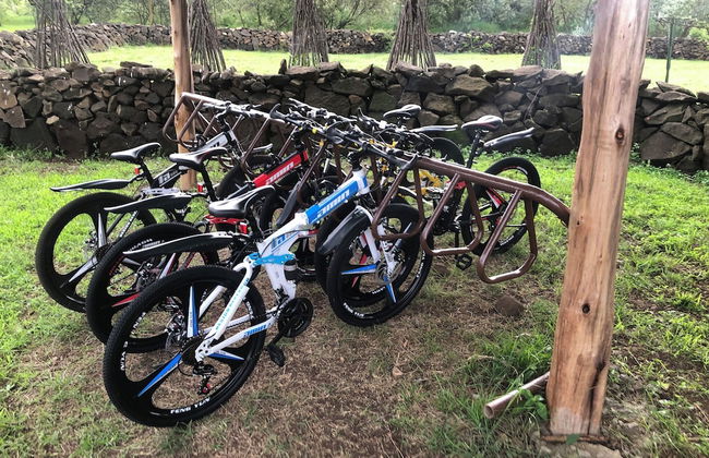 Isalaasha Bush Camp - Foto 25