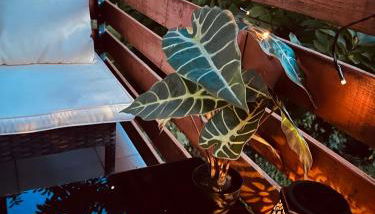 Schöne Terrassenwohnung zwischen Giessen und Marburg - Foto 2