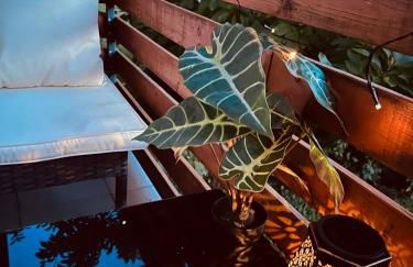 Schöne Terrassenwohnung zwischen Giessen und Marburg - Foto 2