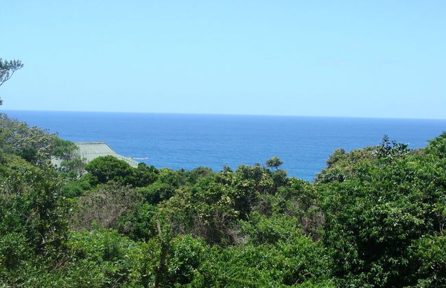 Campismo Ninho 11 - Foto 16